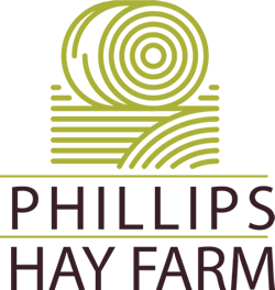 Phillips Hay Farm Eastland County Carbon Texas