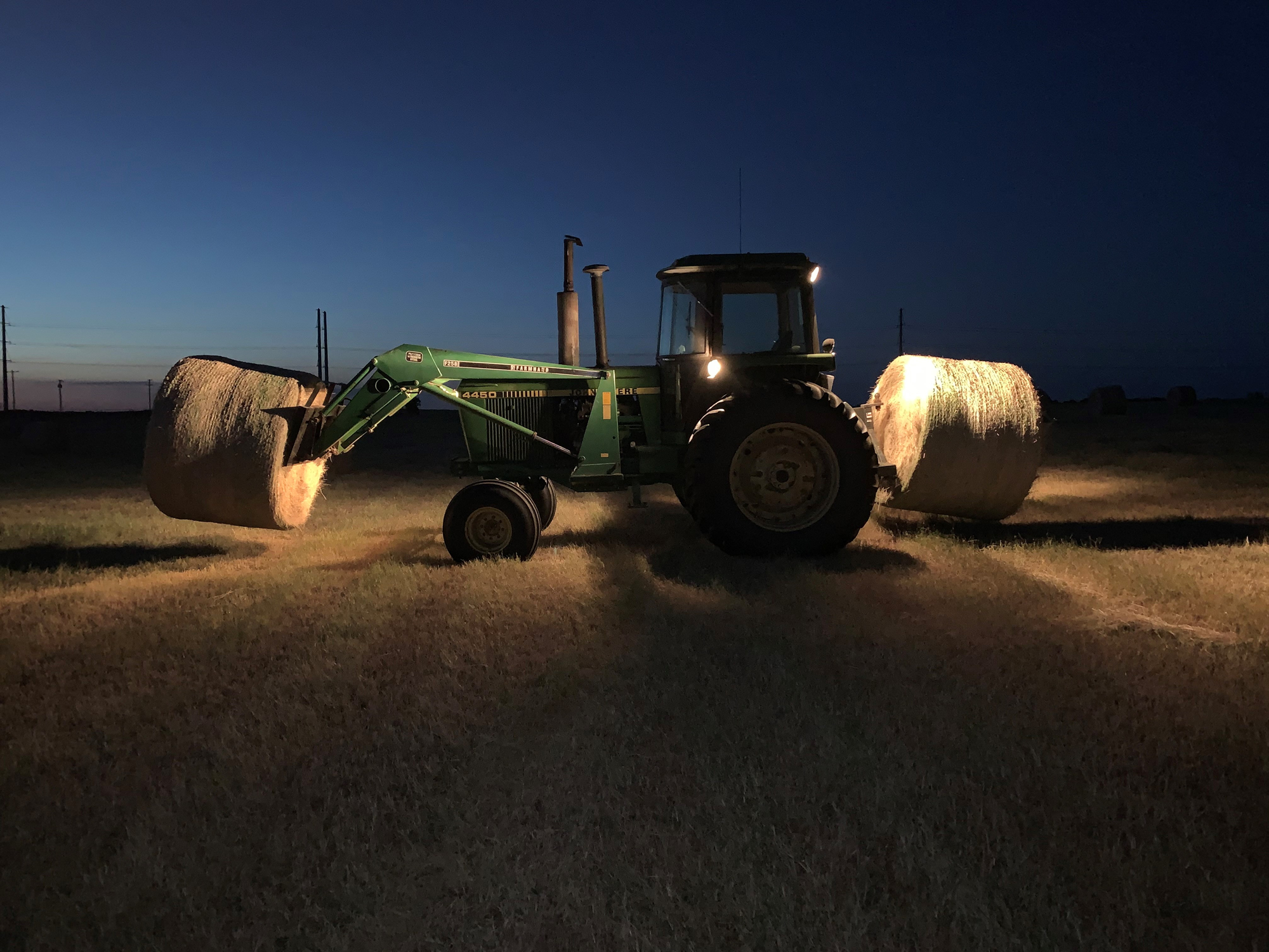 hay for sale